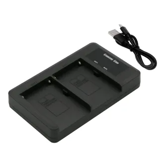 Cargador para batería de cámara Sony – F550 Cameron Sino